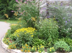 flowers